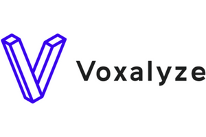 Voxalyze