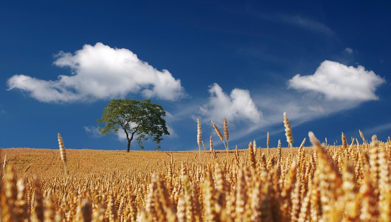 The Podcast Landscape 2025: Maturity, Growth, and What Comes Next
