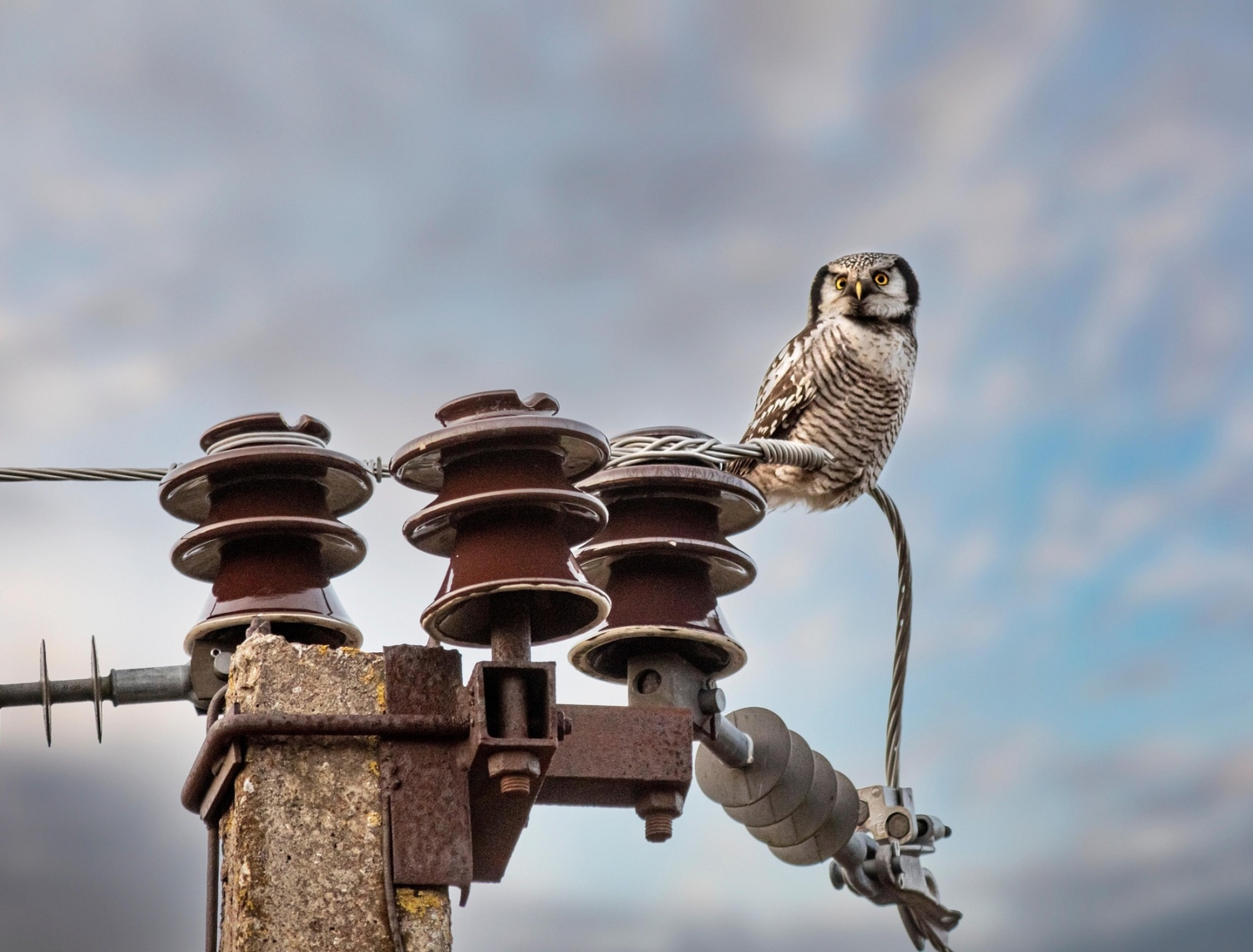 The Talking Dead Was Right: Why TV and Film Podcasts Are Podcasting's Secret Weapon